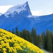 Product-Led Growth How to Build a Product That Sells Itself